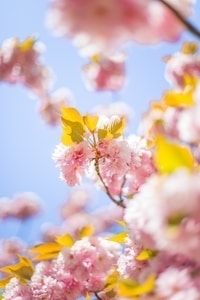 Нежно розово, лавандула и жълто шестват по модните подиуми за пролет-лято